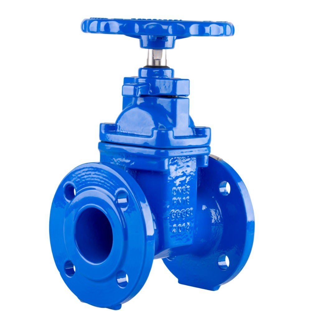 Resilient Seated Gate Valve